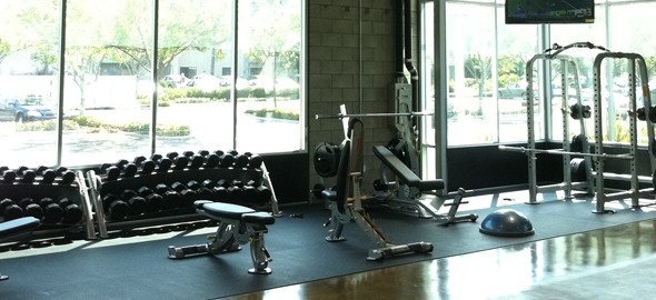 implication of marketing for the gym essay Fast, accurate and secure essay writing help more than 7 years' experience, over 300 certified us & uk academic writers and editors quality guaranteed. implication of marketing for the gym essay Fast, accurate and secure essay writing help more than 7 years' experience, over 300 certified us & uk academic writers and editors quality guaranteed.