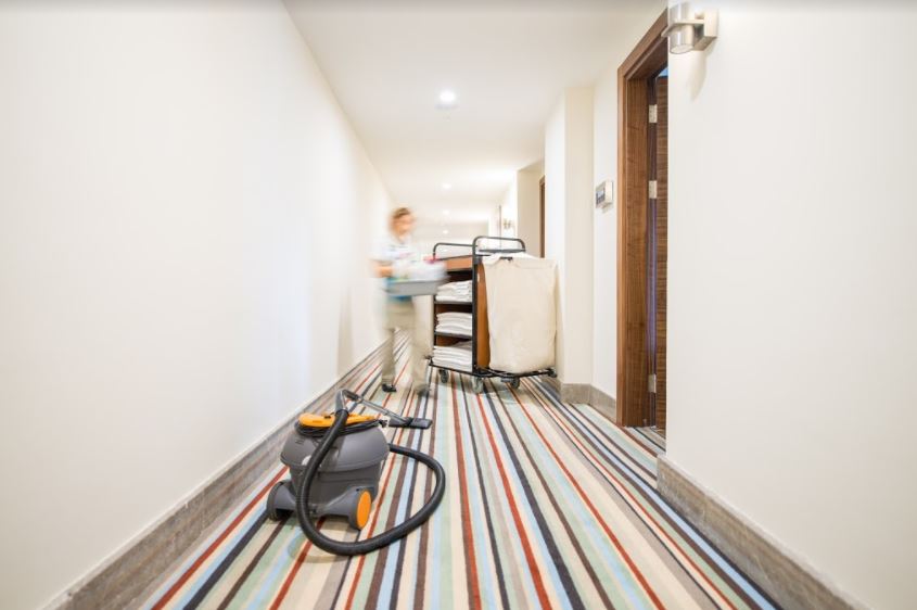 Professional Carpet Cleaning Services in San Diego