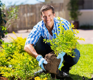 landscaping