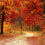 Fall is here, is your home and property ready for the weather changes?