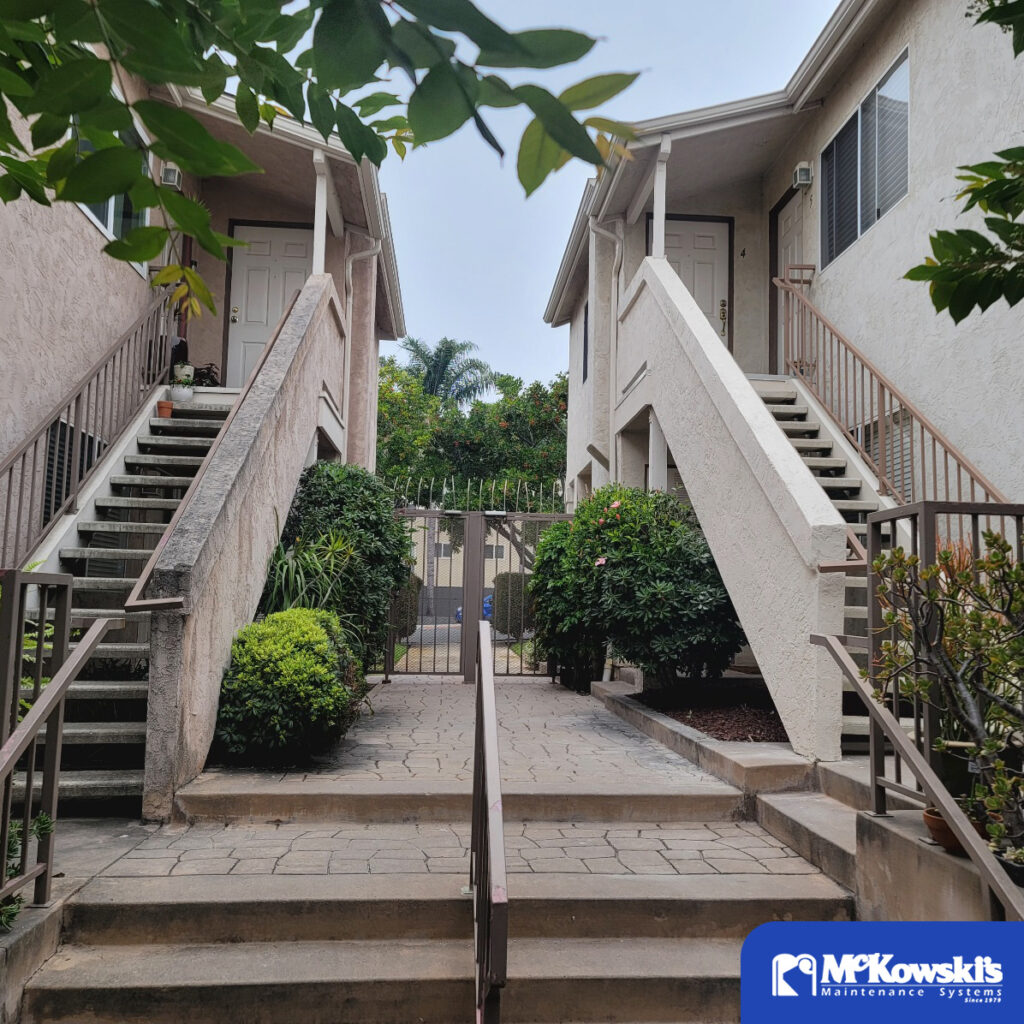 Termite Damage Repair in North Park