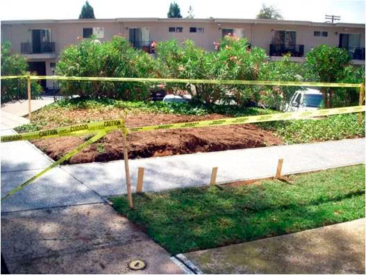 Landscaping Services in San Diego