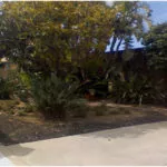 Landscaping Contractors in San Diego